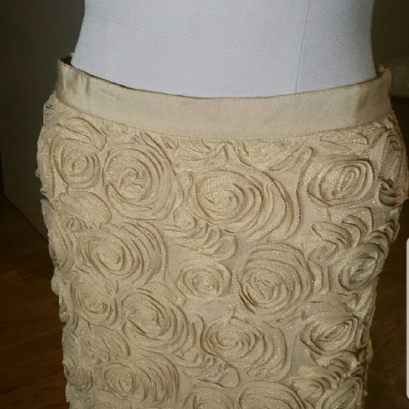 Rosette Beige knee length skirt - Picture 2 of 2